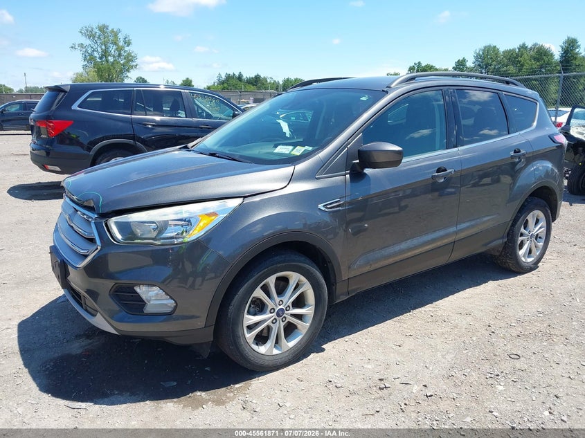 AtlanticExpress - Ford Escape