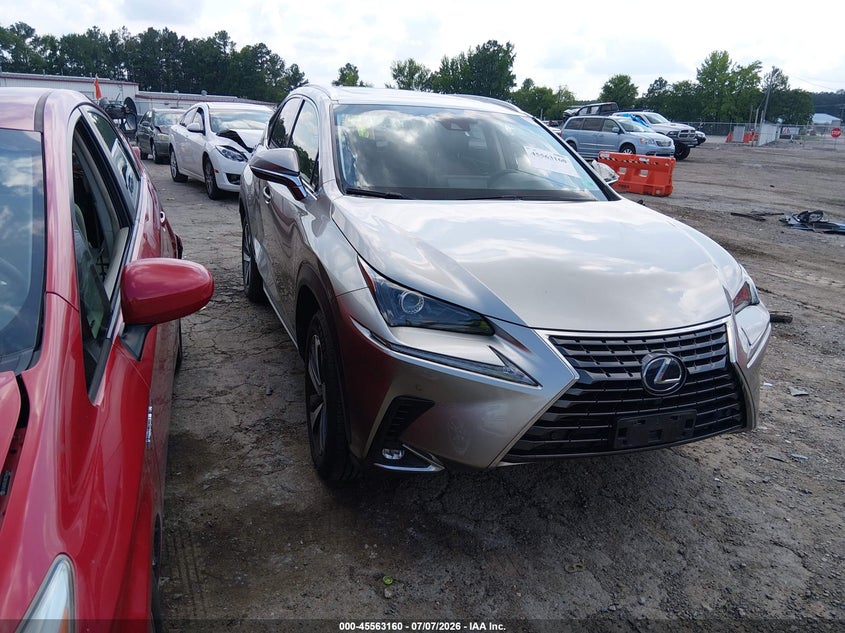 Vin: jtjbjrbz2k2110638, lot: 46061489, lexus nx 300h 2019 img_1