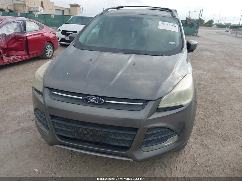 AtlanticExpress - Ford Escape