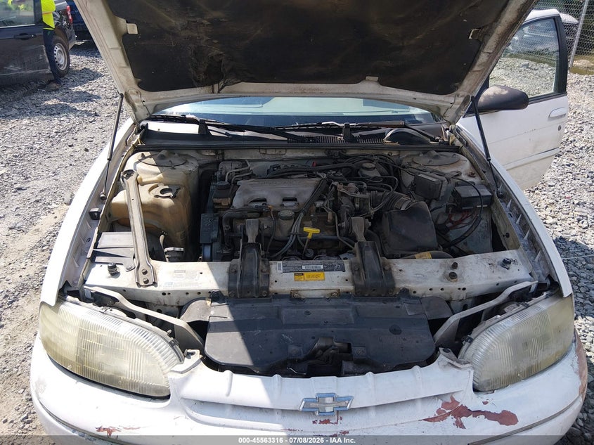 1995 Chevrolet Lumina VIN: 2G1WL52MXS1101982 Lot: 45563316