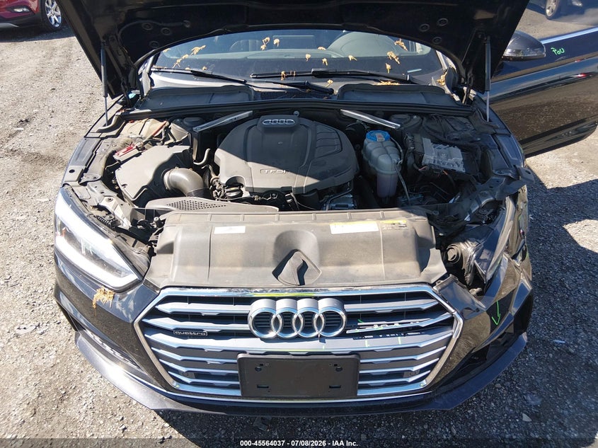 2019 Audi A5 45 Premium VIN: WAUTNAF50KA017933 Lot: 45564037