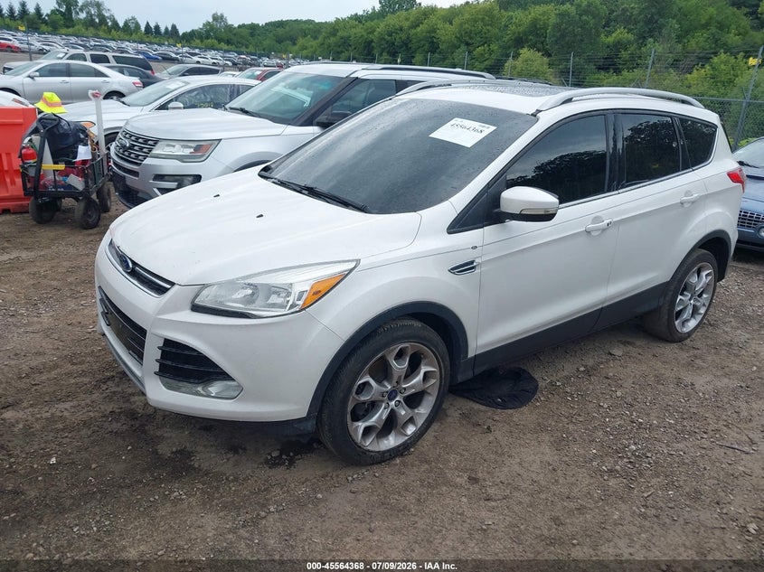 AtlanticExpress - Ford Escape