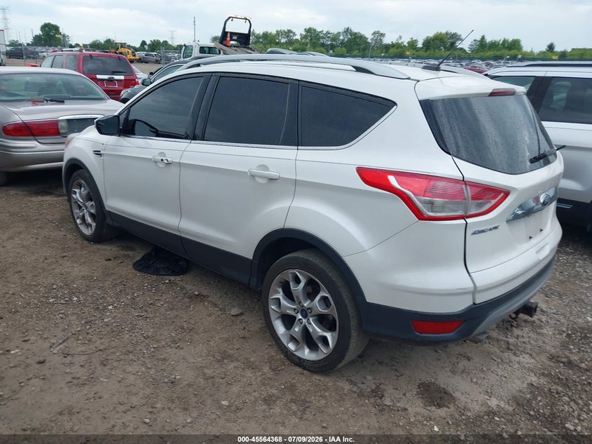AtlanticExpress - Ford Escape
