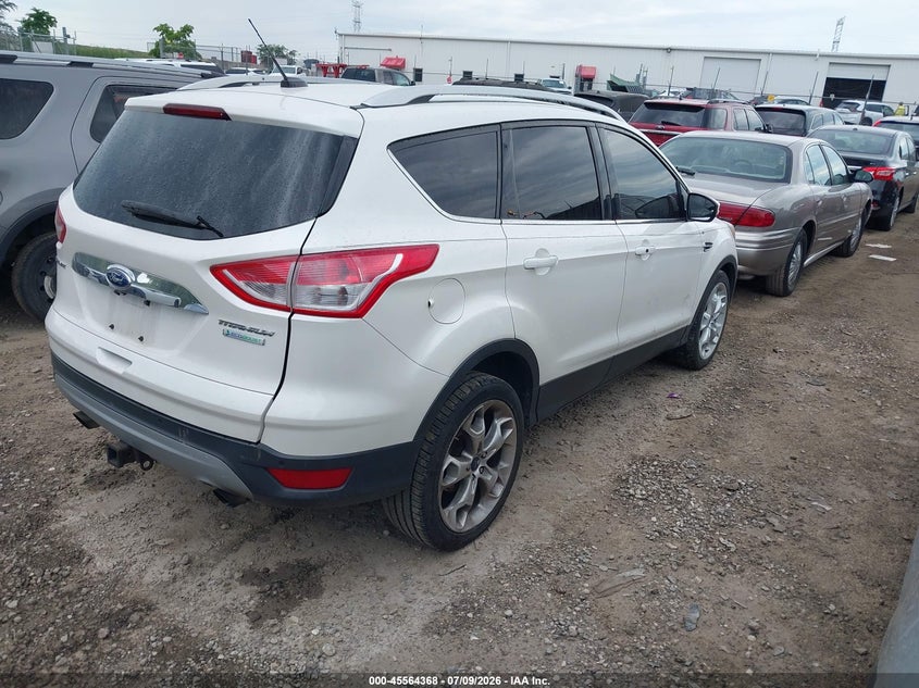 AtlanticExpress - Ford Escape