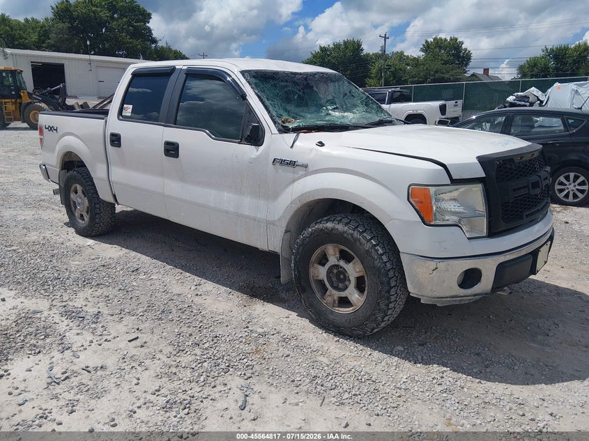 Vin: 1ftfw1ef1efb32541, lot: 46063146, ford f-150 xlt 2014 img_1