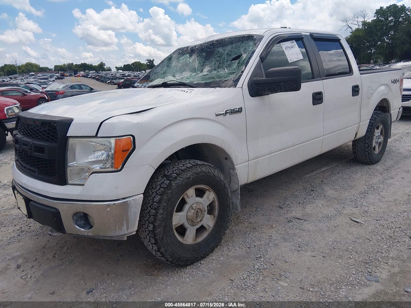 Vin: 1ftfw1ef1efb32541, lot: 46063146, ford f-150 xlt 20142