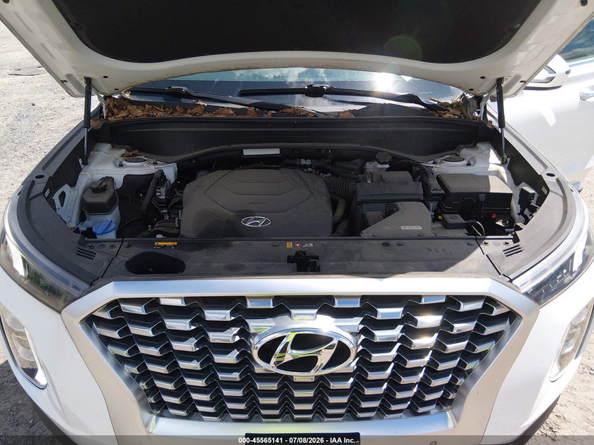 2020 Hyundai Palisade Sel VIN: KM8R3DHE2LU116945 Lot: 45565141