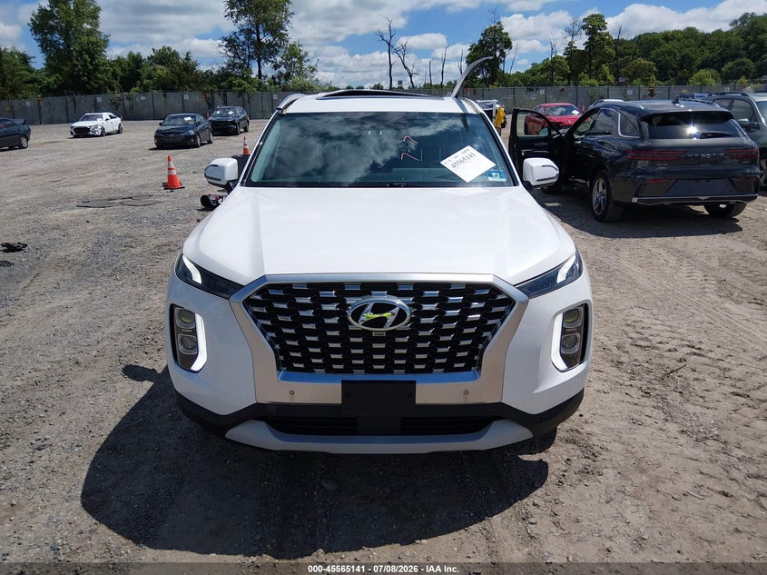 2020 Hyundai Palisade Sel VIN: KM8R3DHE2LU116945 Lot: 45565141