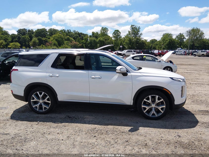 2020 Hyundai Palisade Sel VIN: KM8R3DHE2LU116945 Lot: 45565141