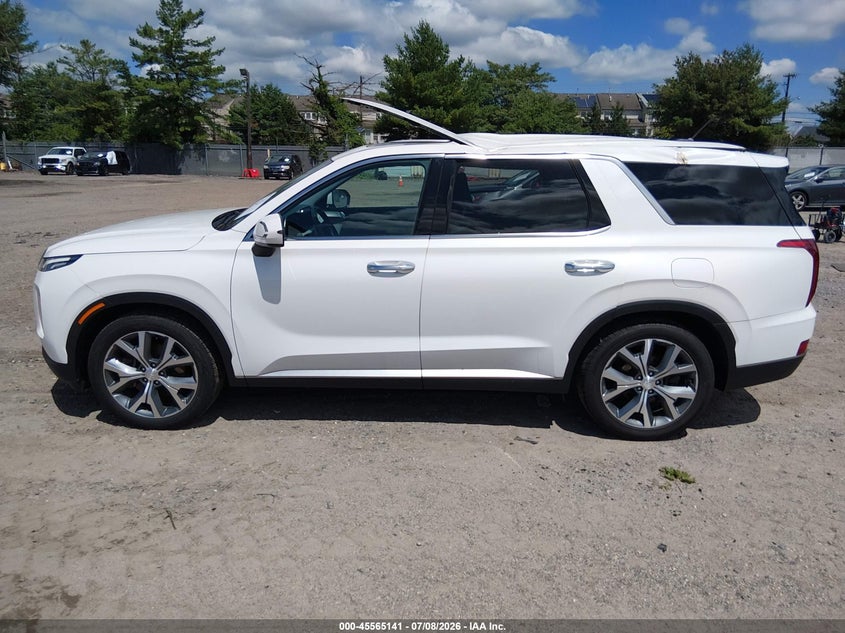 2020 Hyundai Palisade Sel VIN: KM8R3DHE2LU116945 Lot: 45565141