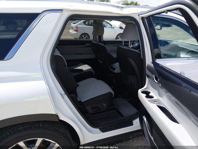 2020 Hyundai Palisade Sel VIN: KM8R3DHE2LU116945 Lot: 45565141