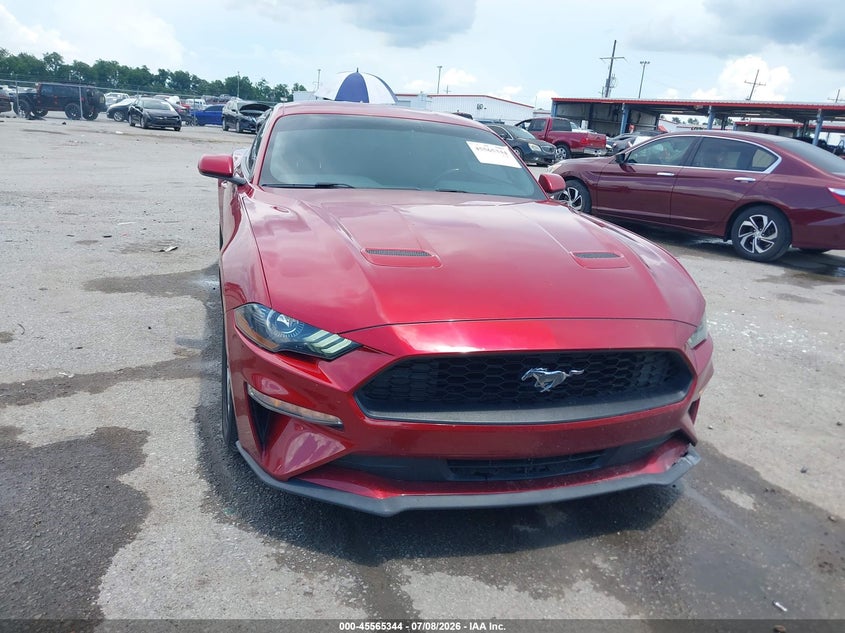 2020 Ford Mustang Ecoboost Fastback VIN: 1FA6P8THXL5168750 Lot: 45565344