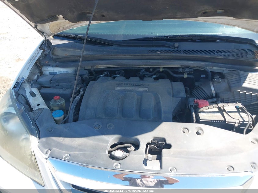 2007 Honda Odyssey Ex-L VIN: 5FNRL387X7B436254 Lot: 45565614