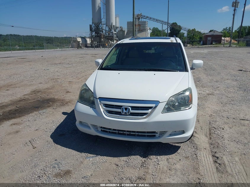 2007 Honda Odyssey Ex-L VIN: 5FNRL387X7B436254 Lot: 45565614
