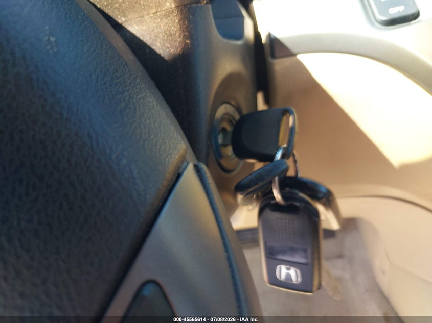 2007 Honda Odyssey Ex-L VIN: 5FNRL387X7B436254 Lot: 45565614