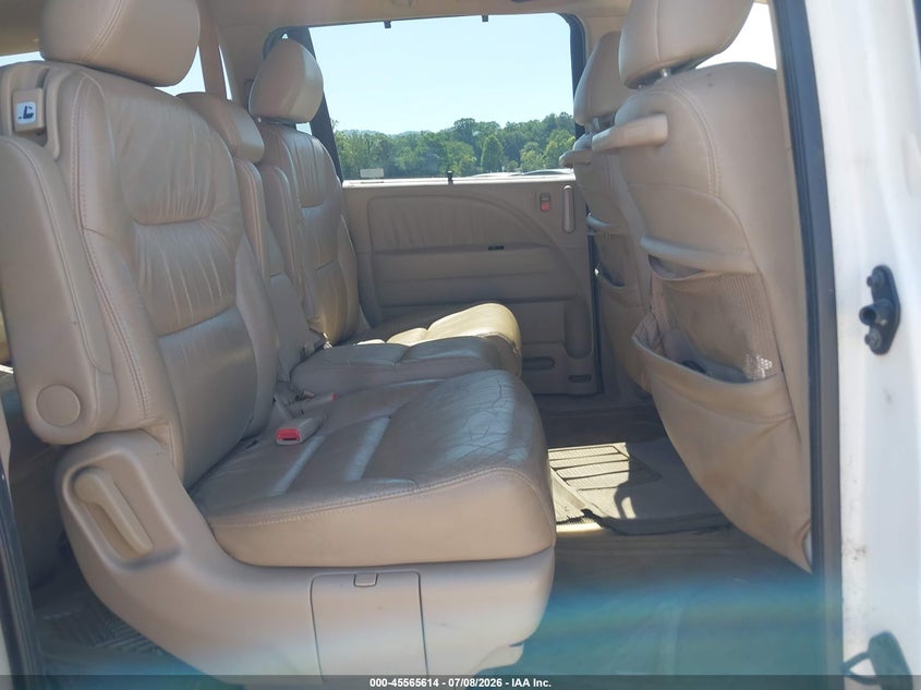2007 Honda Odyssey Ex-L VIN: 5FNRL387X7B436254 Lot: 45565614