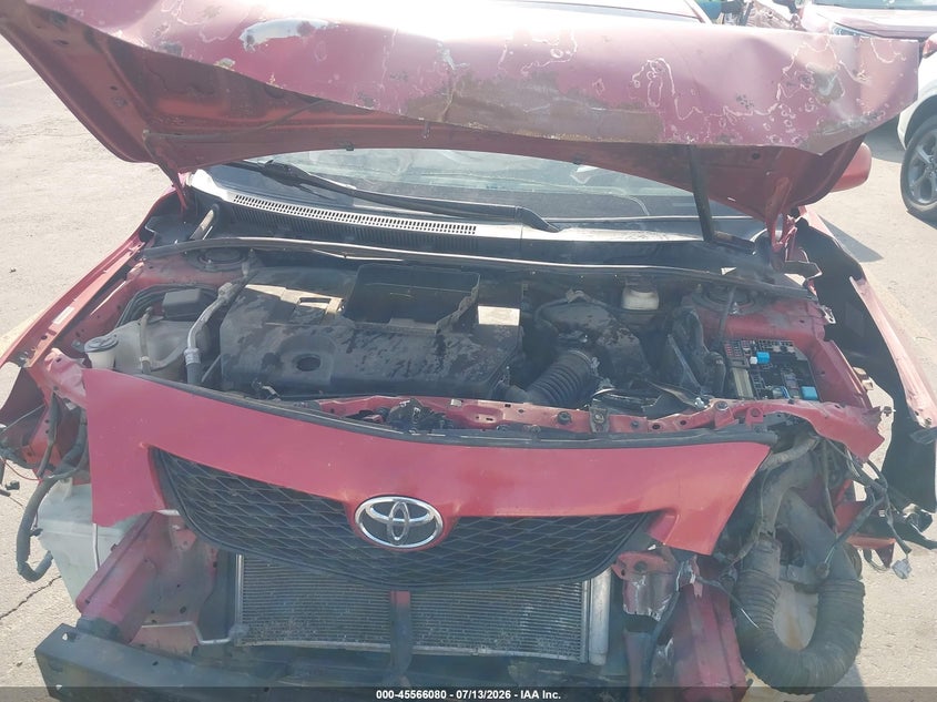 AtlanticExpress - Toyota Corolla