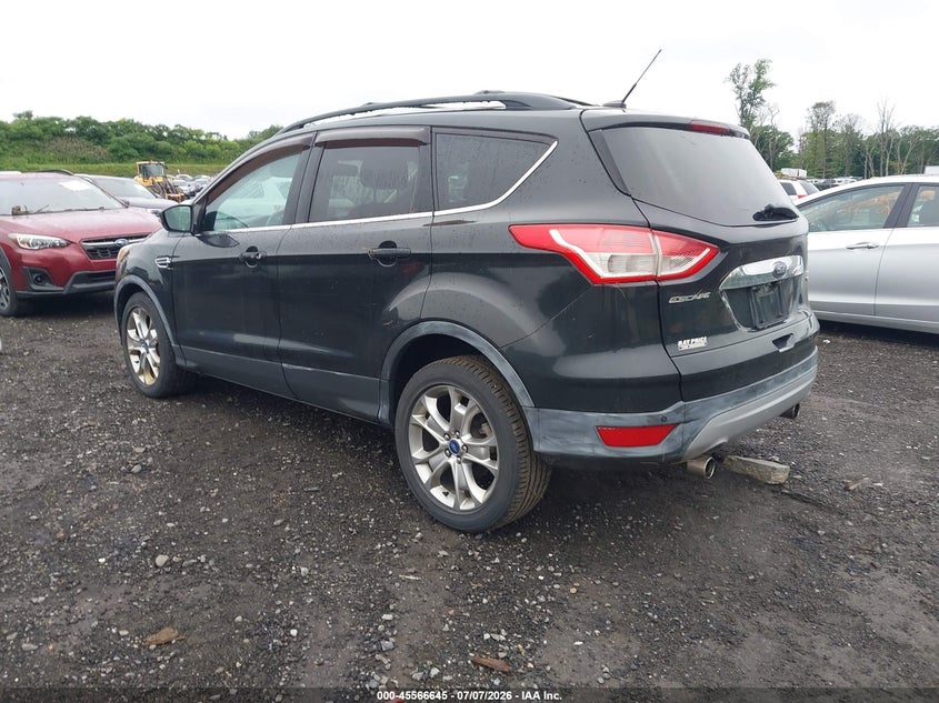 AtlanticExpress - Ford Escape
