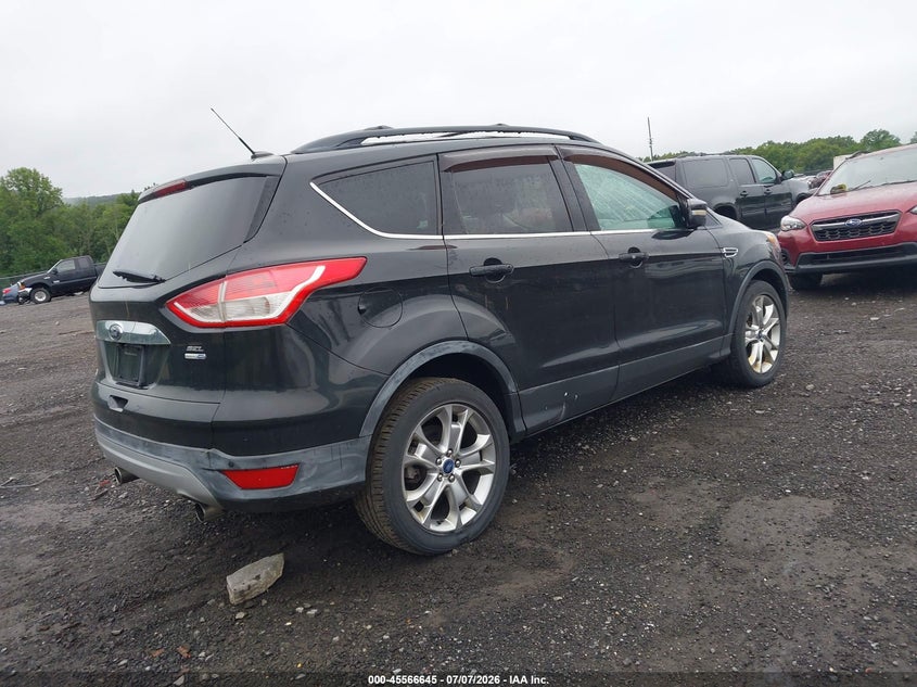 AtlanticExpress - Ford Escape