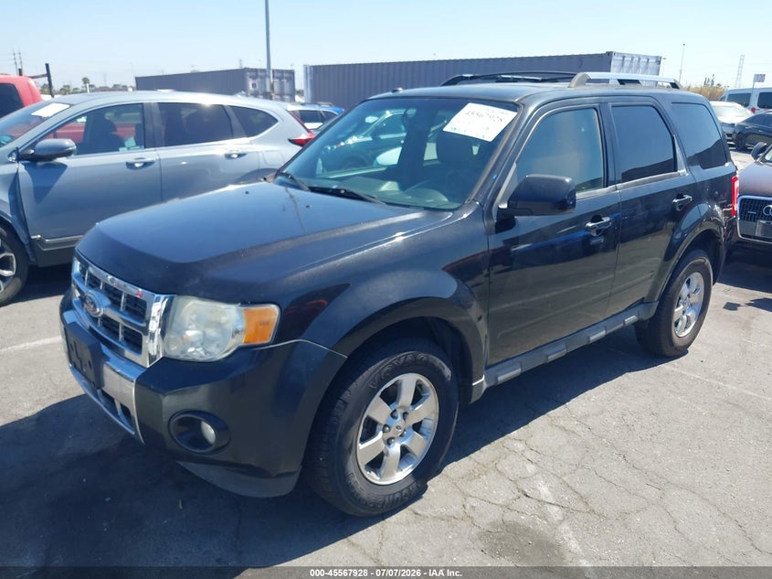 AtlanticExpress - Ford Escape