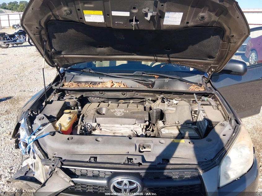 AtlanticExpress - Toyota RAV4