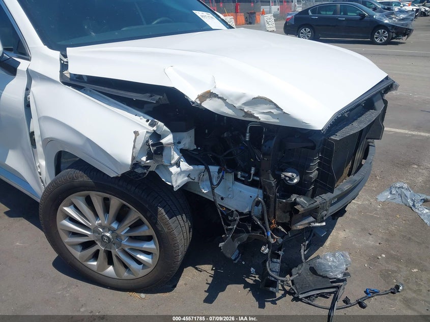 2020 Hyundai Palisade Limited VIN: KM8R54HE4LU076698 Lot: 45571785