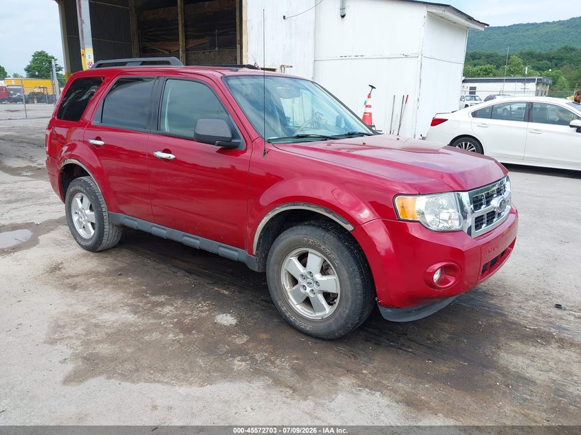 2010 Ford Escape Xlt