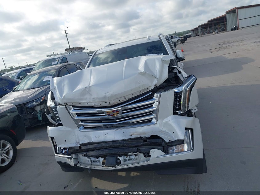 2020 Cadillac Escalade 4Wd Platinum VIN: 1GYS4DKJ7LR252722 Lot: 45573699
