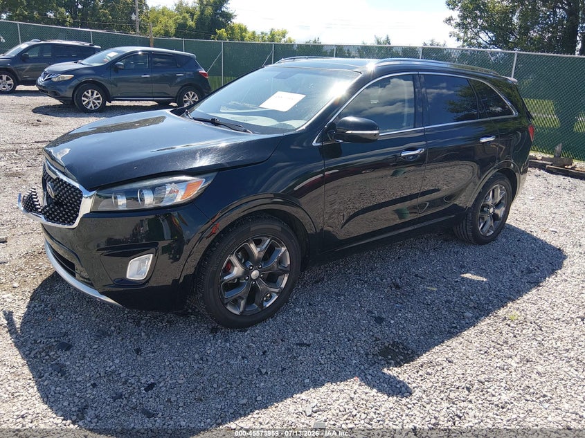 AtlanticExpress - Kia Sorento