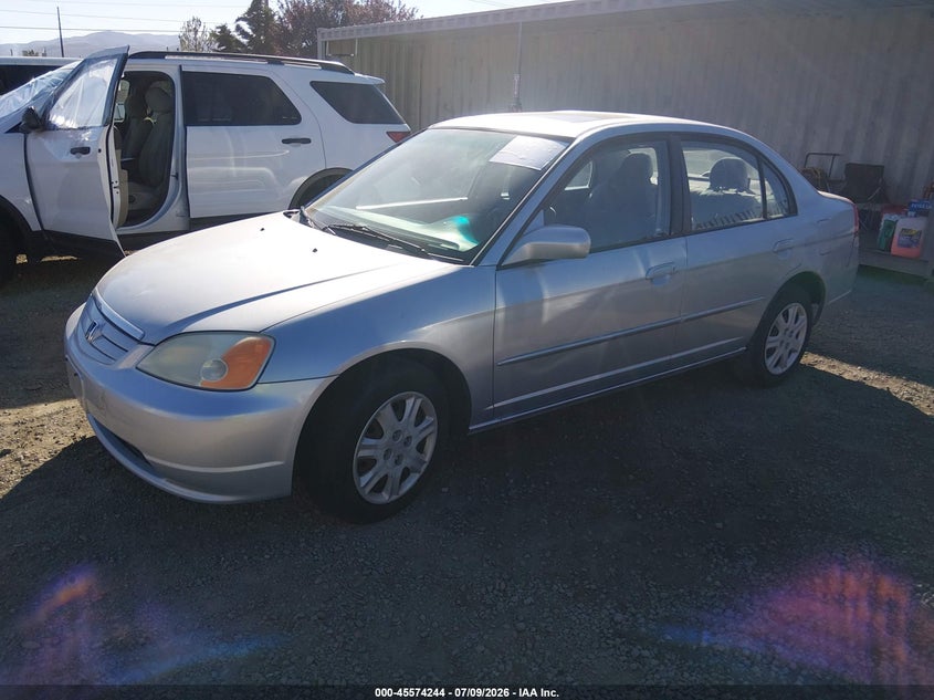 AtlanticExpress - Honda Civic