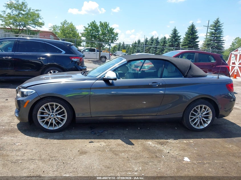 2016 BMW 228I VIN: WBA1K9C5XGV321693 Lot: 45575110