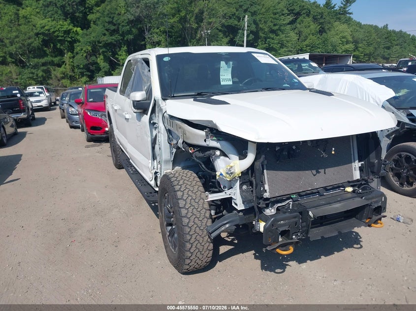 Vin: 1ftew1e80pfd23870, lot: 46073903, ford f-150 tremor 20231