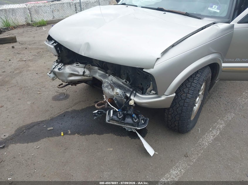 2001 Chevrolet Blazer Trailblazer VIN: 1GNDT13W212127957 Lot: 45576081