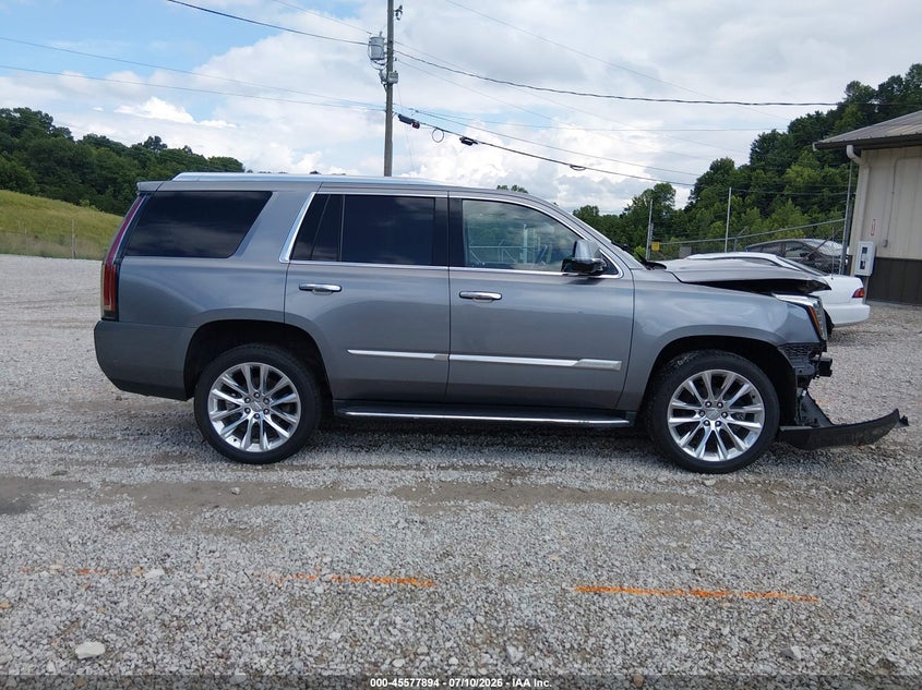 2020 Cadillac Escalade 4Wd Luxury VIN: 1GYS4BKJ3LR254908 Lot: 45577894