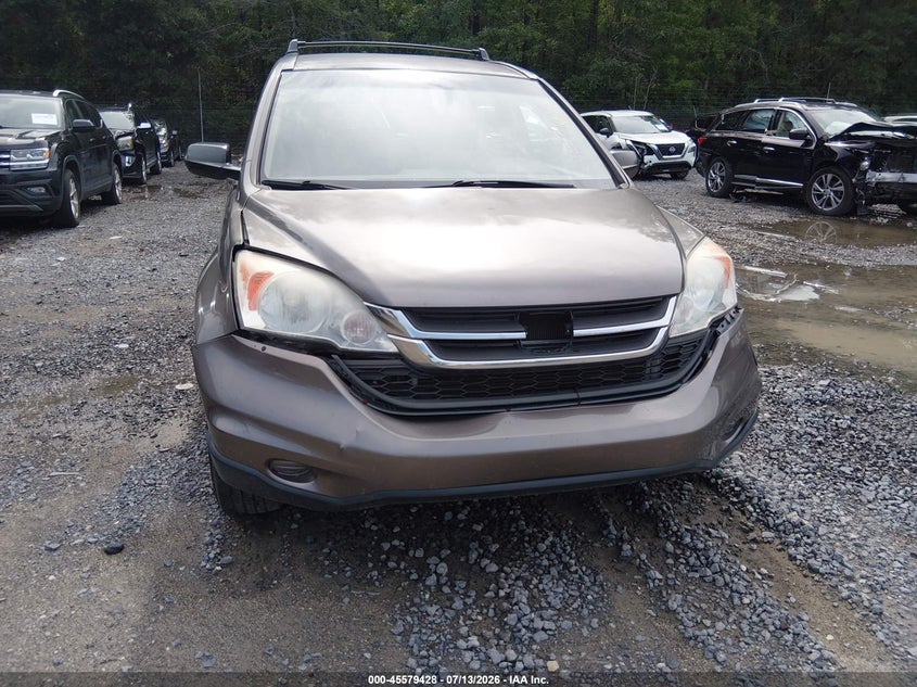 AtlanticExpress - Honda CR-V