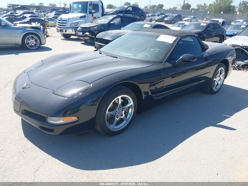 2004 Chevrolet Corvette, Rear, IAAI, VIN 1G1YY32G445129867 — photo 2
