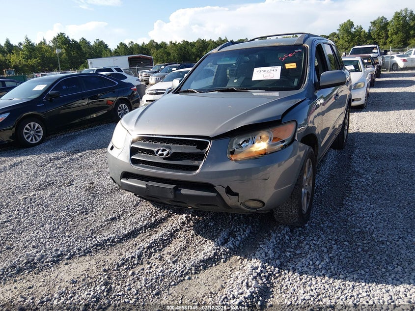 2009 Hyundai Santa Fe Se VIN: 5NMSH13E59H249387 Lot: 45581345