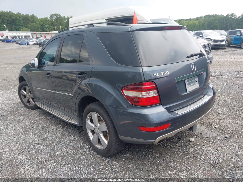2010 MERCEDES-BENZ ML 350 auction photo 3