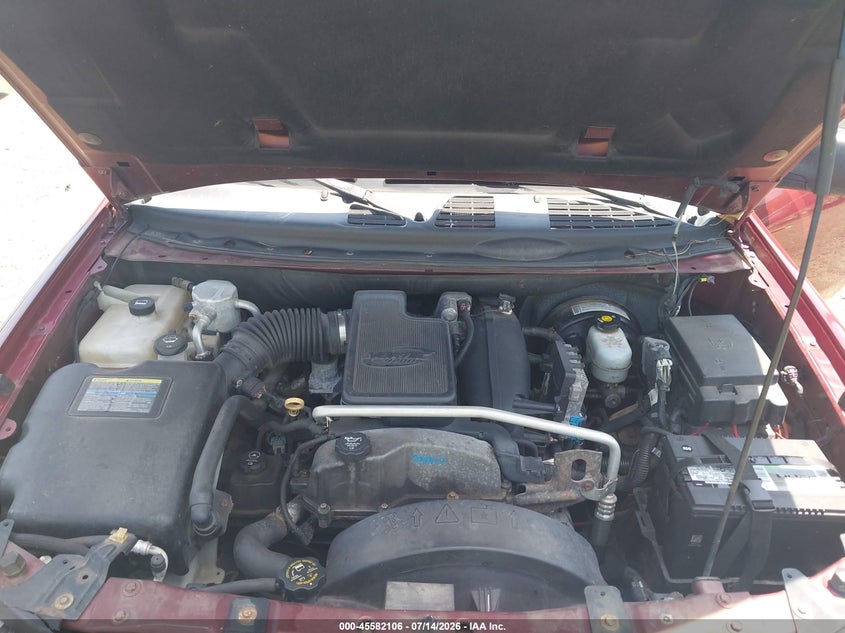 2007 Chevrolet Trailblazer Ls VIN: 1GNDT13S372247790 Lot: 45582106