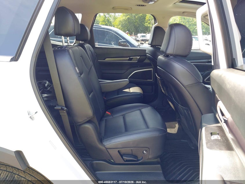 2025 Kia Telluride S VIN: 5XYP6DGC0SG640064 Lot: 45583117
