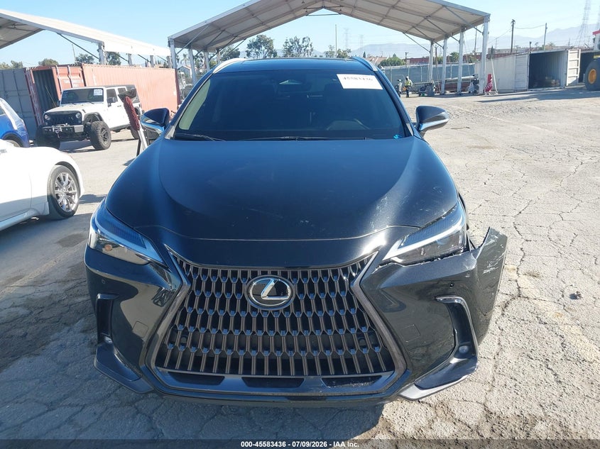 2025 Lexus Nx 250 Premium VIN: 2T2GDCAZ5SC016491 Lot: 45583436