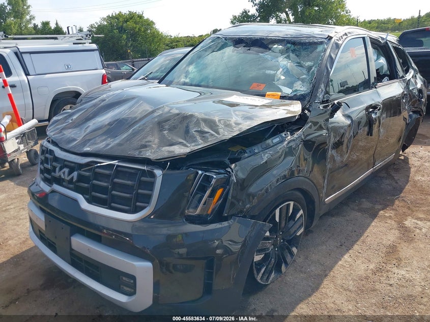2025 Kia Telluride Sx VIN: 5XYP54GC9SG607289 Lot: 45583634