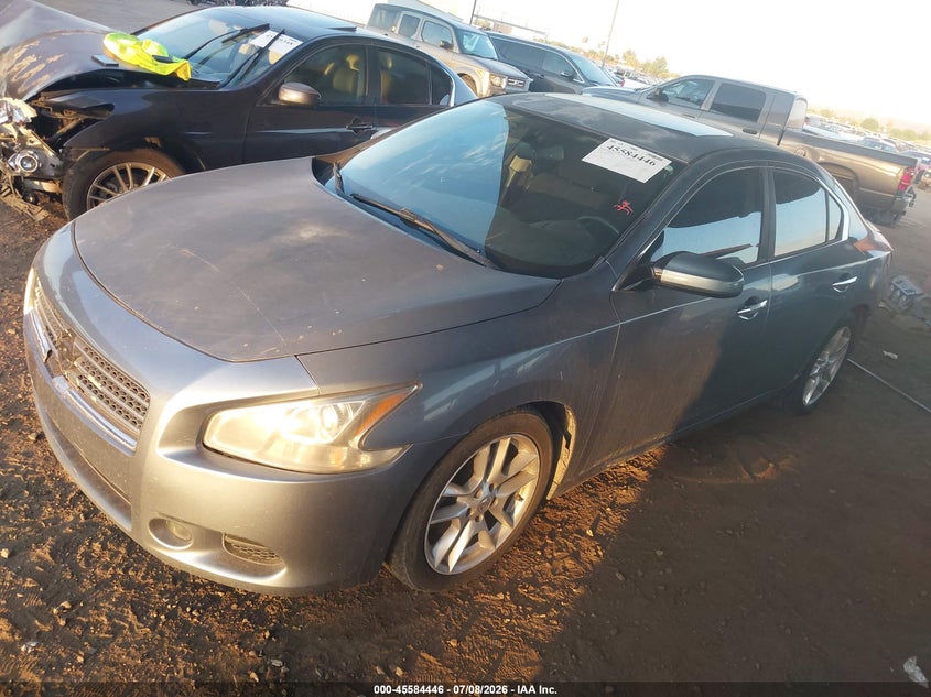 2010 Nissan Maxima, Rear, IAAI, VIN 1N4AA5APXAC817637 — photo 2