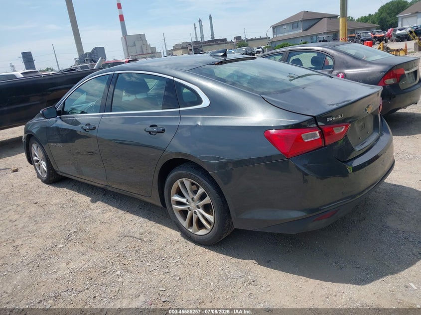 AtlanticExpress - Chevrolet Malibu Limited