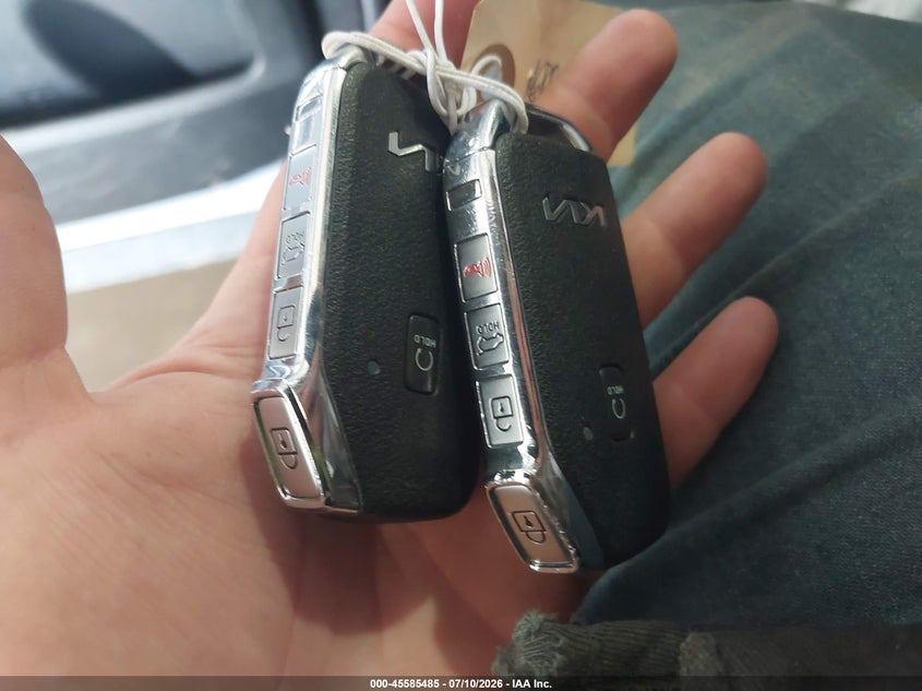 2022 Kia Telluride Sx VIN: 5XYP5DHC4NG203528 Lot: 45585485