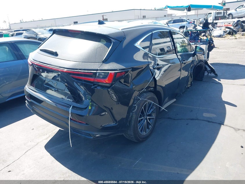 Vin: 2t2gdcaz9rc008744, lot: 46083937, lexus nx 250 premium 20244