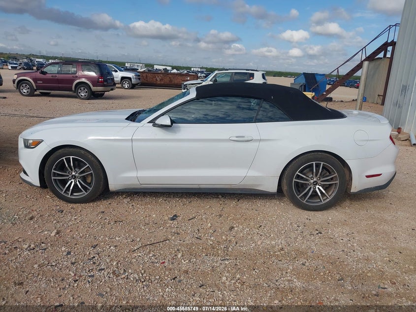 FORD MUSTANG - zdjęcie 14