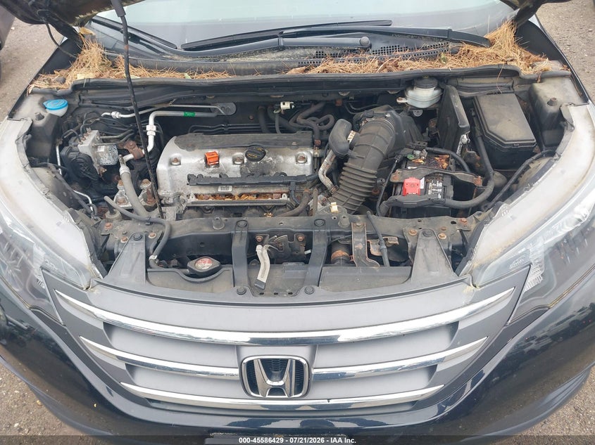 2012 Honda Cr-V Lx VIN: 2HKRM3H39CH504646 Lot: 45586429