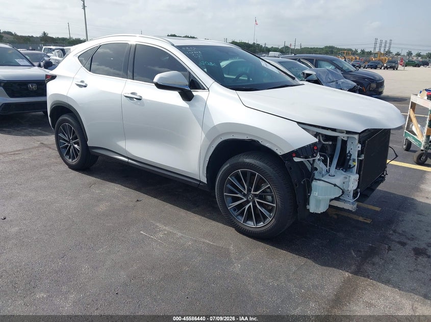 2025 Lexus NX 250