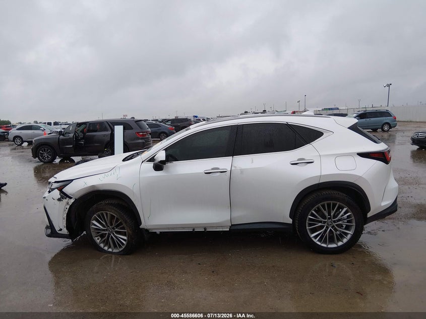 2023 Lexus Nx 350H Premium VIN: JTJGKCEZXP5007713 Lot: 45586606